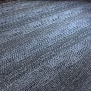 Meet your Posher, Shelly